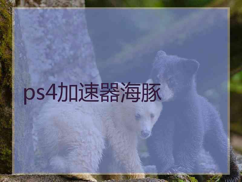 ps4加速器海豚