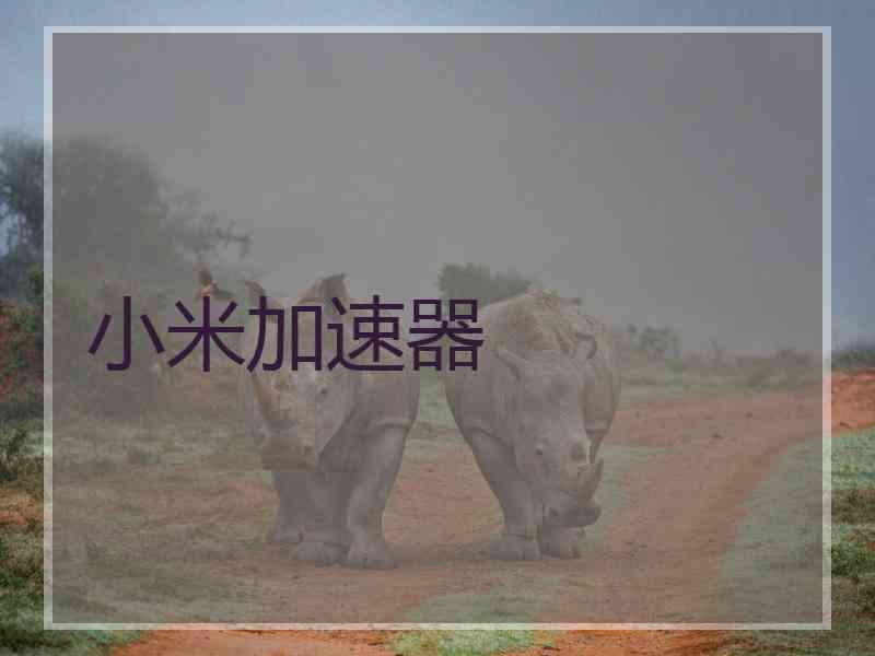 小米加速器