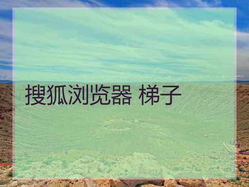 搜狐浏览器 梯子