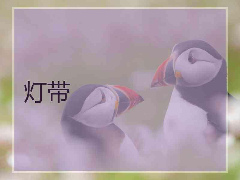 灯带