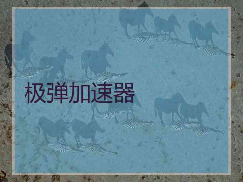 极弹加速器