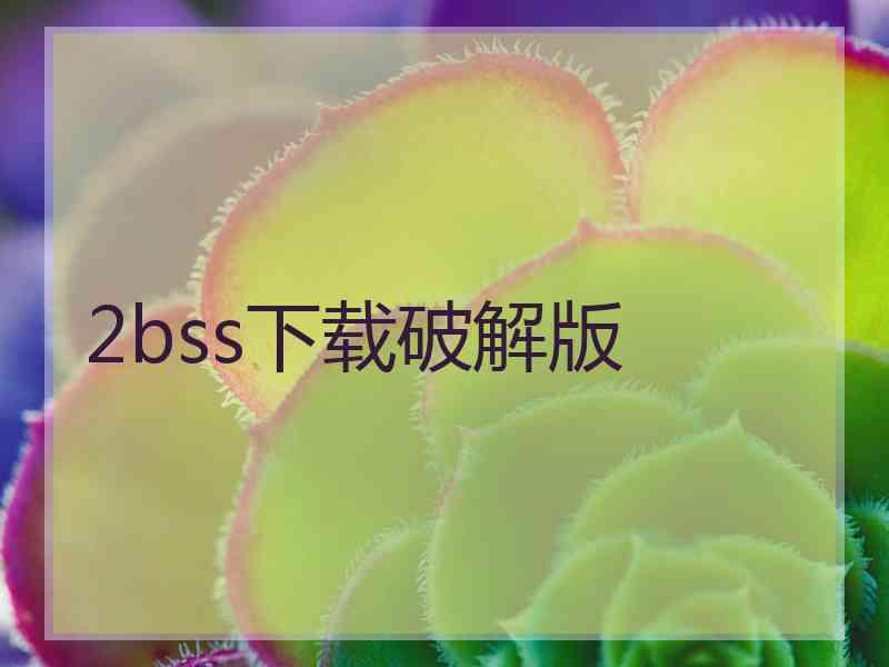 2bss下载破解版