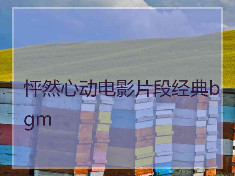 怦然心动电影片段经典bgm