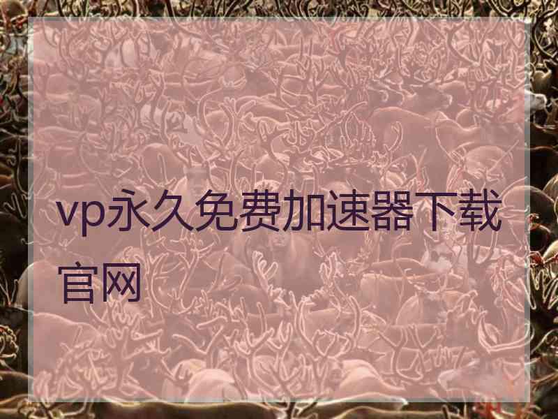 vp永久免费加速器下载官网