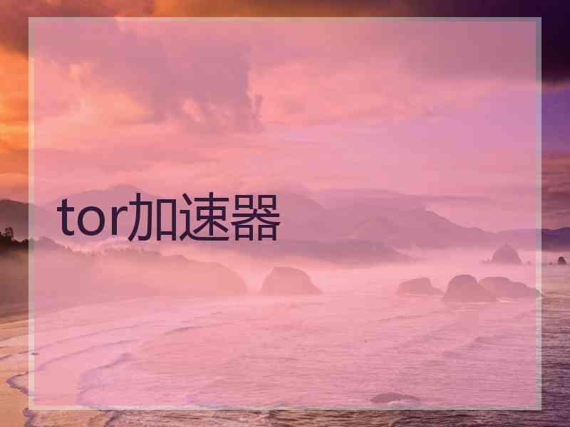 tor加速器