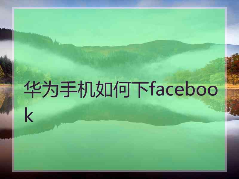 华为手机如何下facebook
