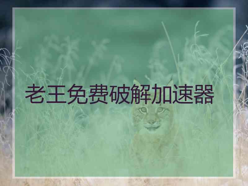 老王免费破解加速器