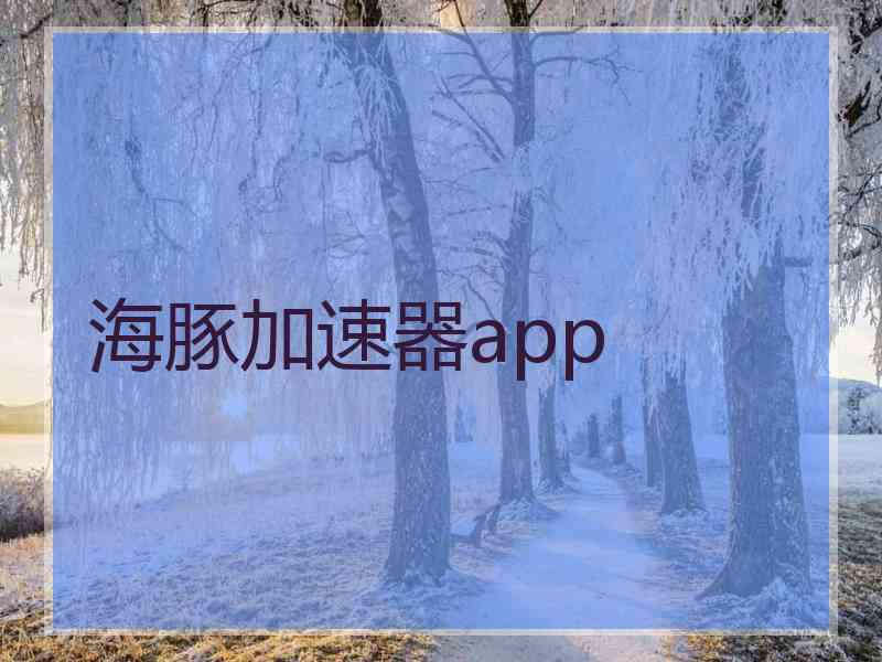 海豚加速器app