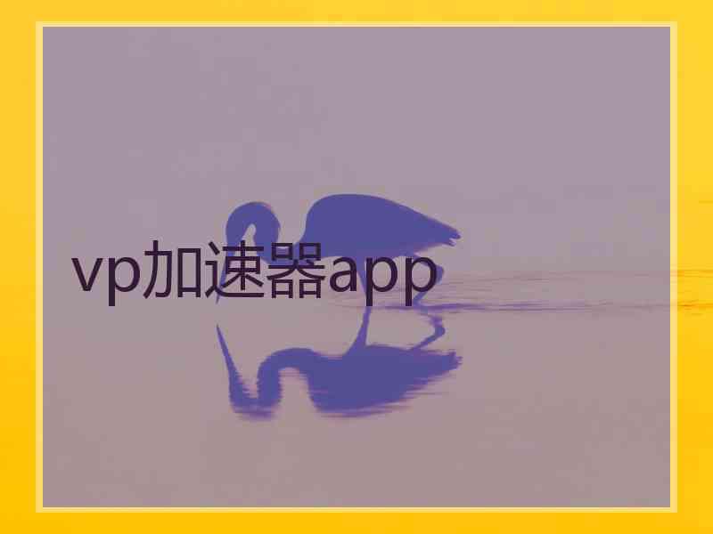 vp加速器app