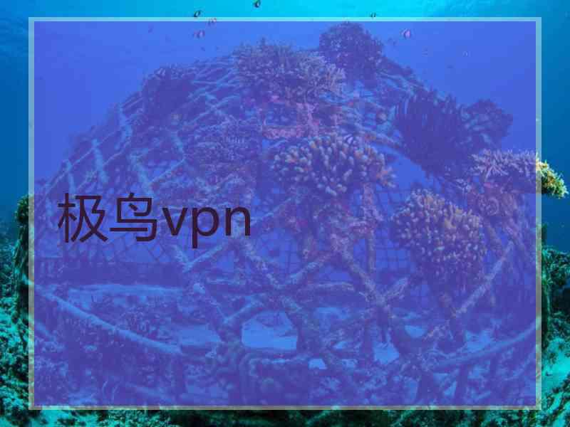 极鸟vpn