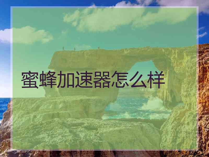 蜜蜂加速器怎么样