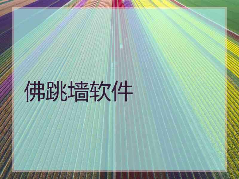 佛跳墙软件