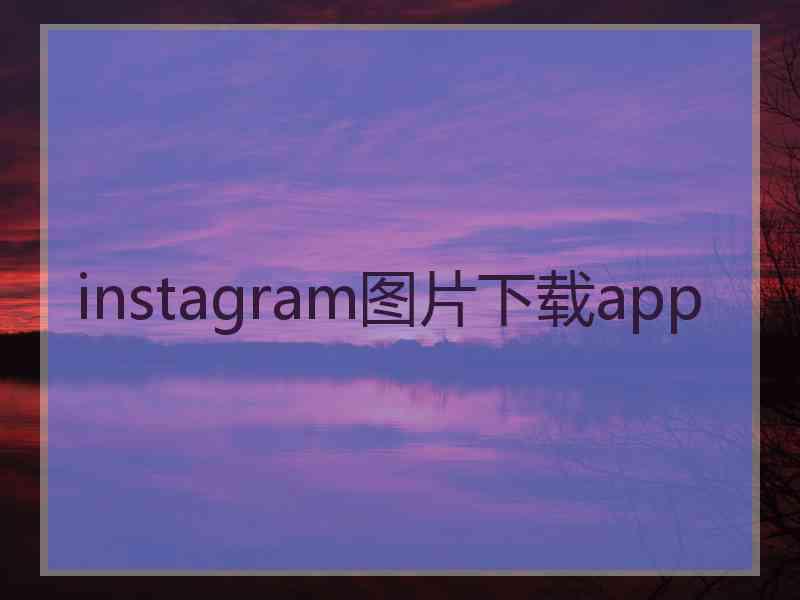 instagram图片下载app