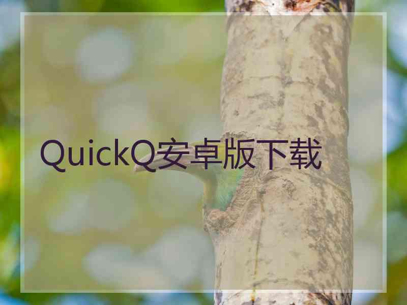 QuickQ安卓版下载