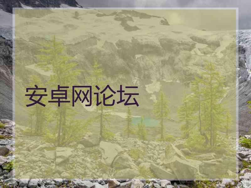 安卓网论坛