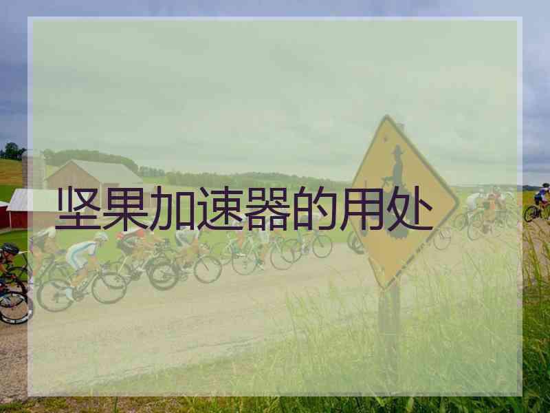 坚果加速器的用处