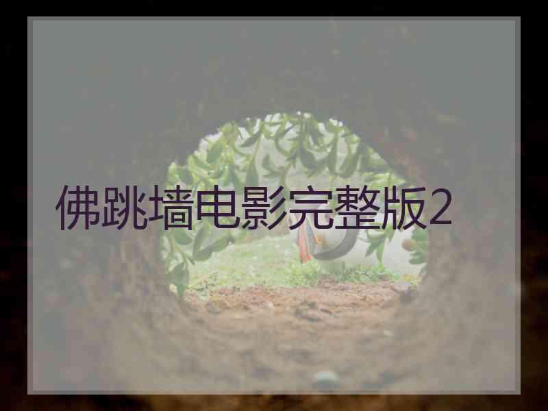 佛跳墙电影完整版2