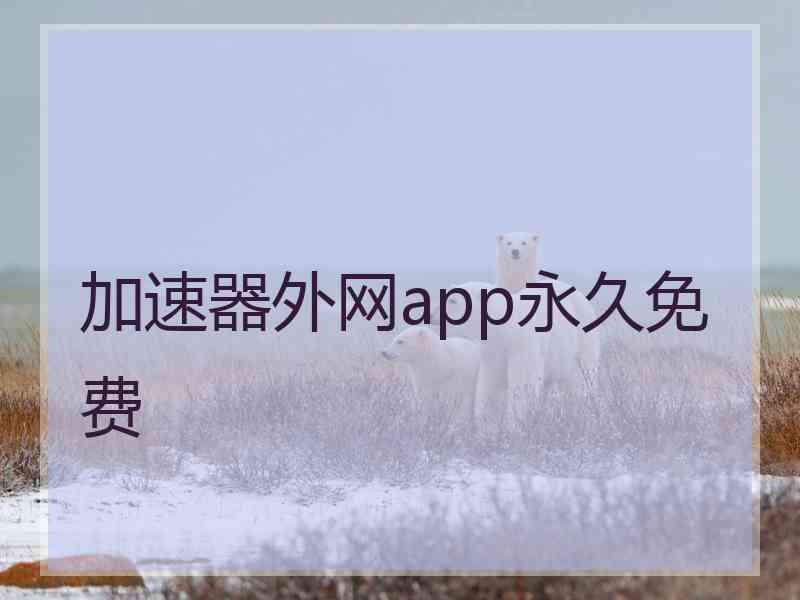 加速器外网app永久免费