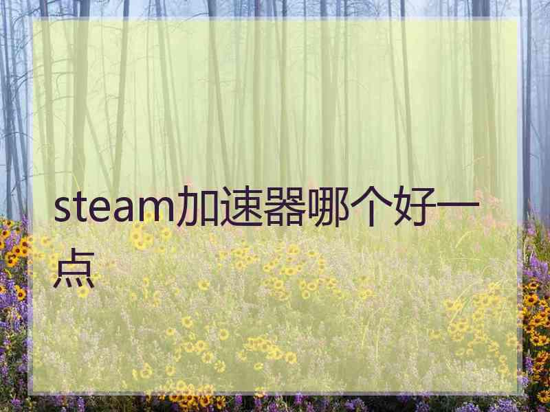 steam加速器哪个好一点
