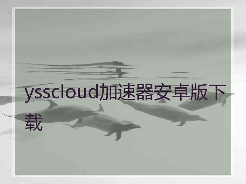 ysscloud加速器安卓版下载