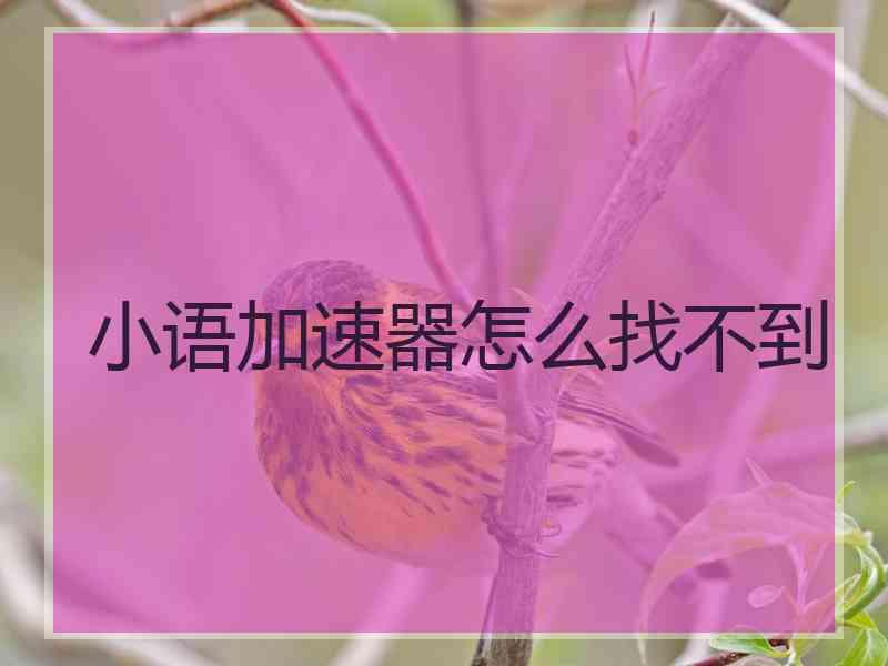 小语加速器怎么找不到