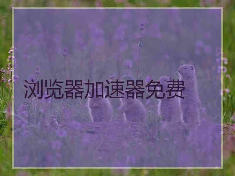 浏览器加速器免费