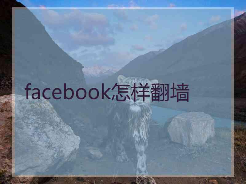 facebook怎样翻墙