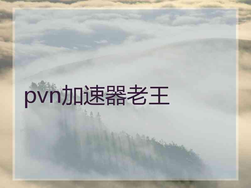 pvn加速器老王