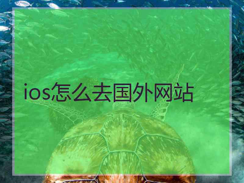 ios怎么去国外网站