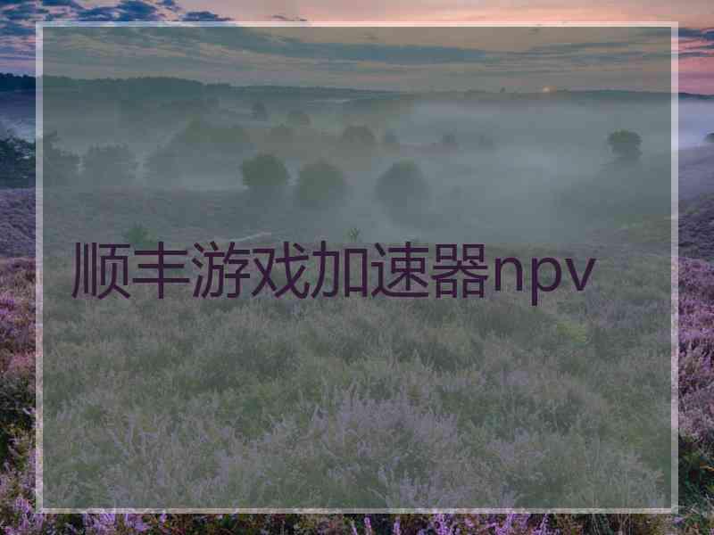 顺丰游戏加速器npv