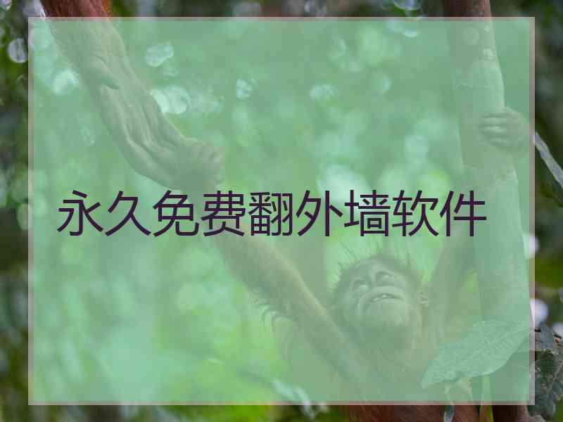 永久免费翻外墙软件