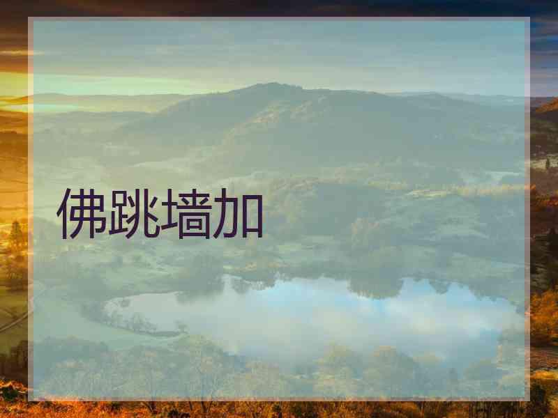 佛跳墙加