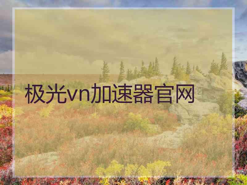 极光vn加速器官网