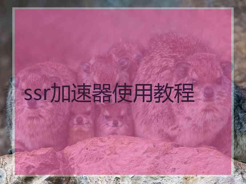 ssr加速器使用教程
