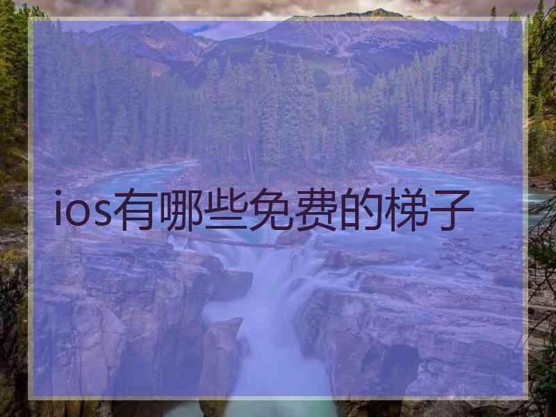 ios有哪些免费的梯子