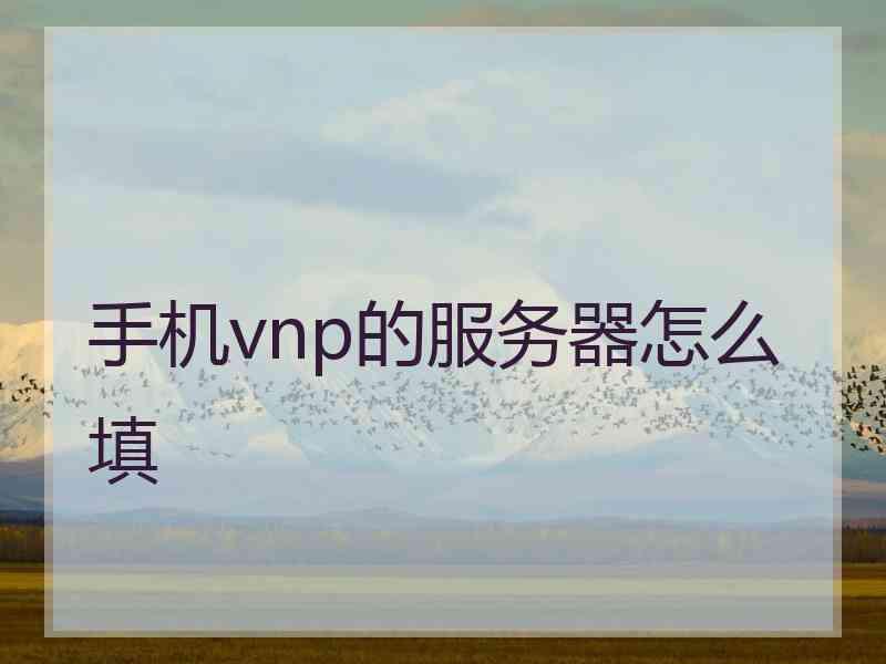 手机vnp的服务器怎么填