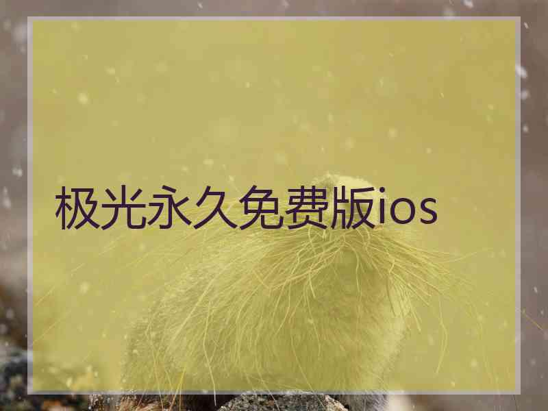极光永久免费版ios