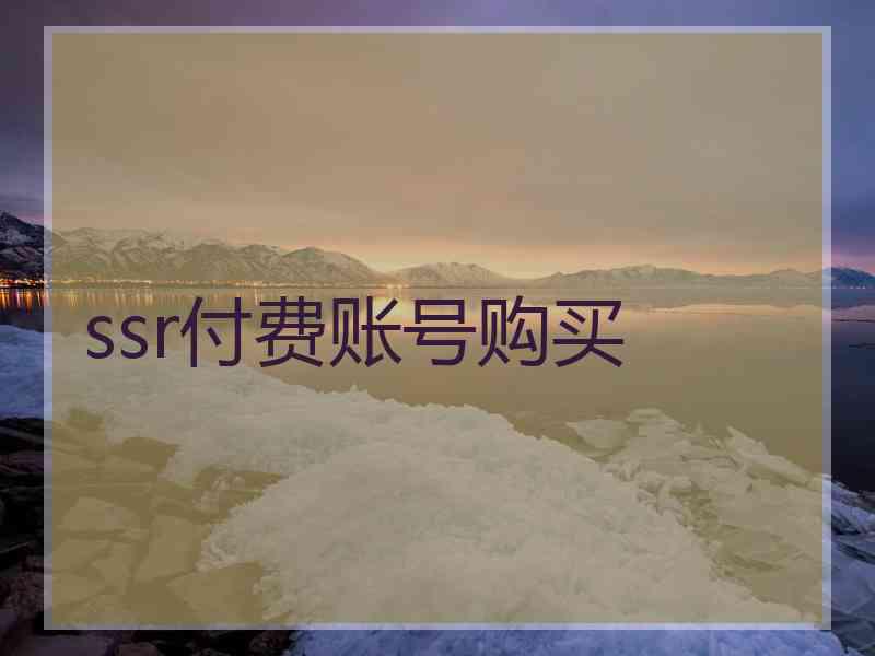 ssr付费账号购买