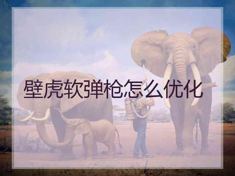 壁虎软弹枪怎么优化