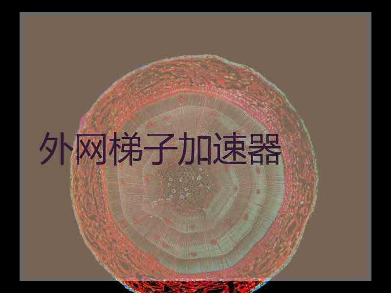 外网梯子加速器