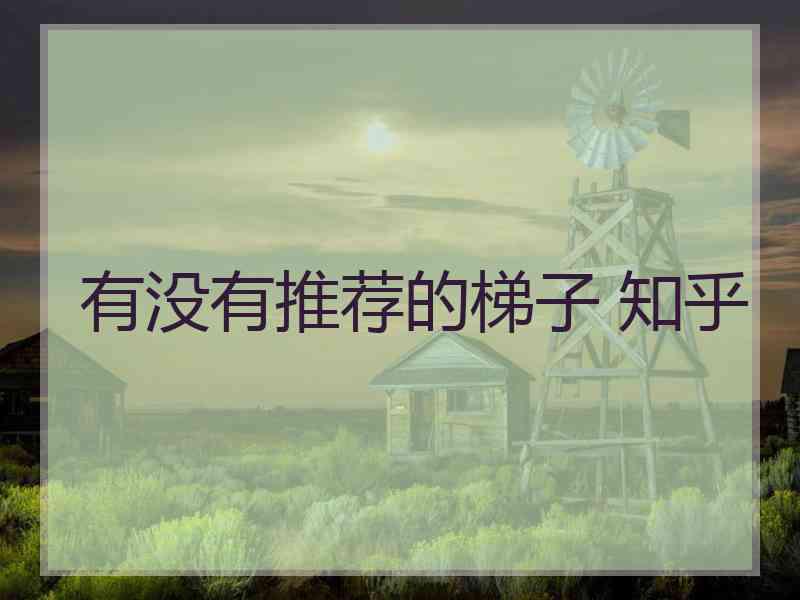 有没有推荐的梯子 知乎