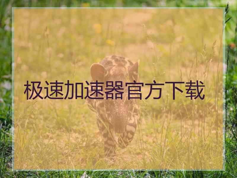 极速加速器官方下载