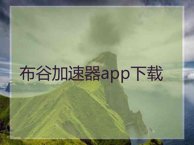 布谷加速器app下载