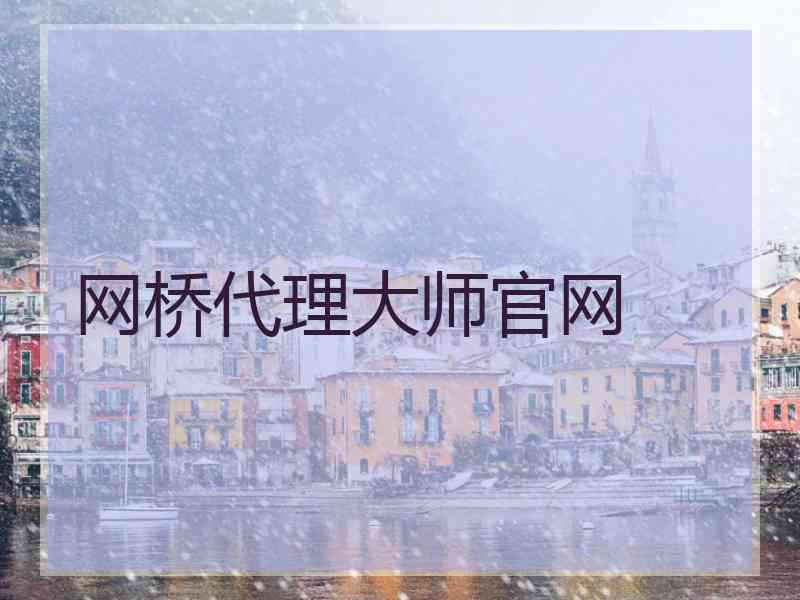 网桥代理大师官网