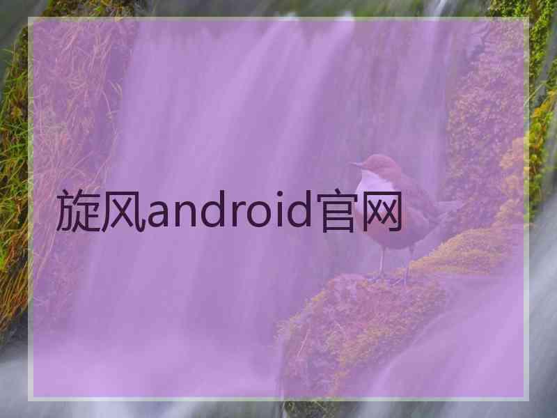 旋风android官网