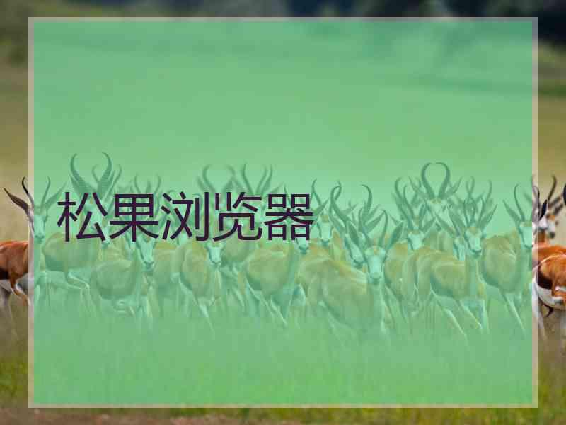 松果浏览器