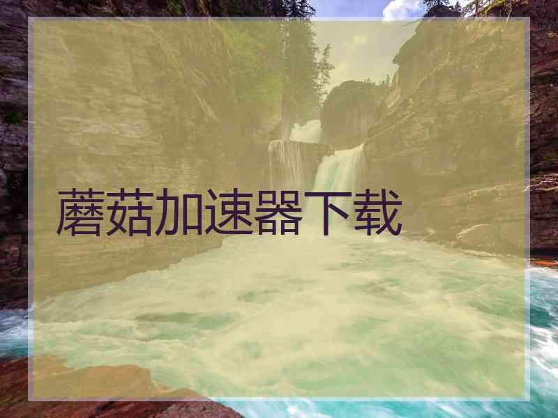 蘑菇加速器下载