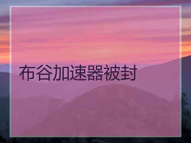 布谷加速器被封