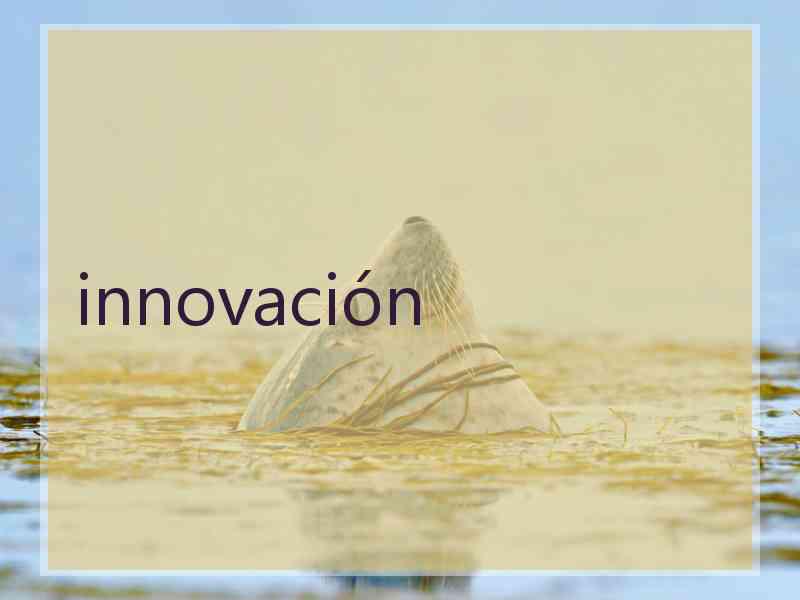 innovación