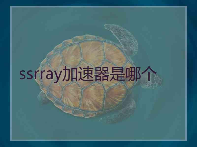 ssrray加速器是哪个